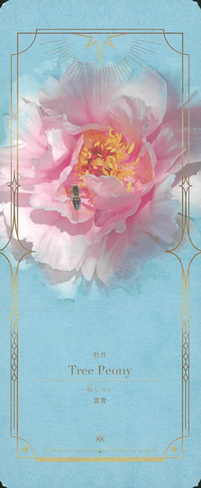 Flower Message Oracle Card 2 (フラワーメッセージオラクルカード2)【インスタ掲載商品】