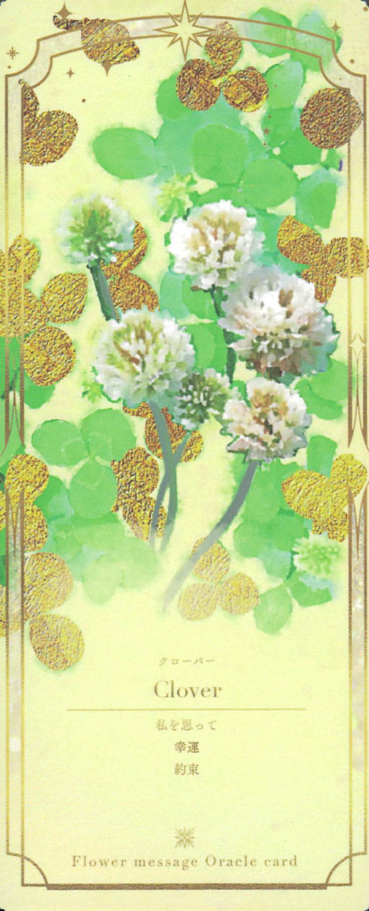 入荷待ち】Flower Message Oracle Card〈新装版〉（フラワーメッセージ
