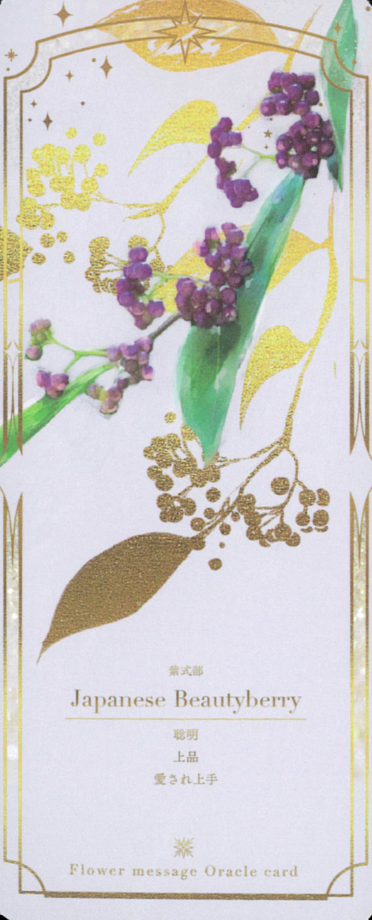 入荷待ち】Flower Message Oracle Card〈新装版〉（フラワーメッセージ