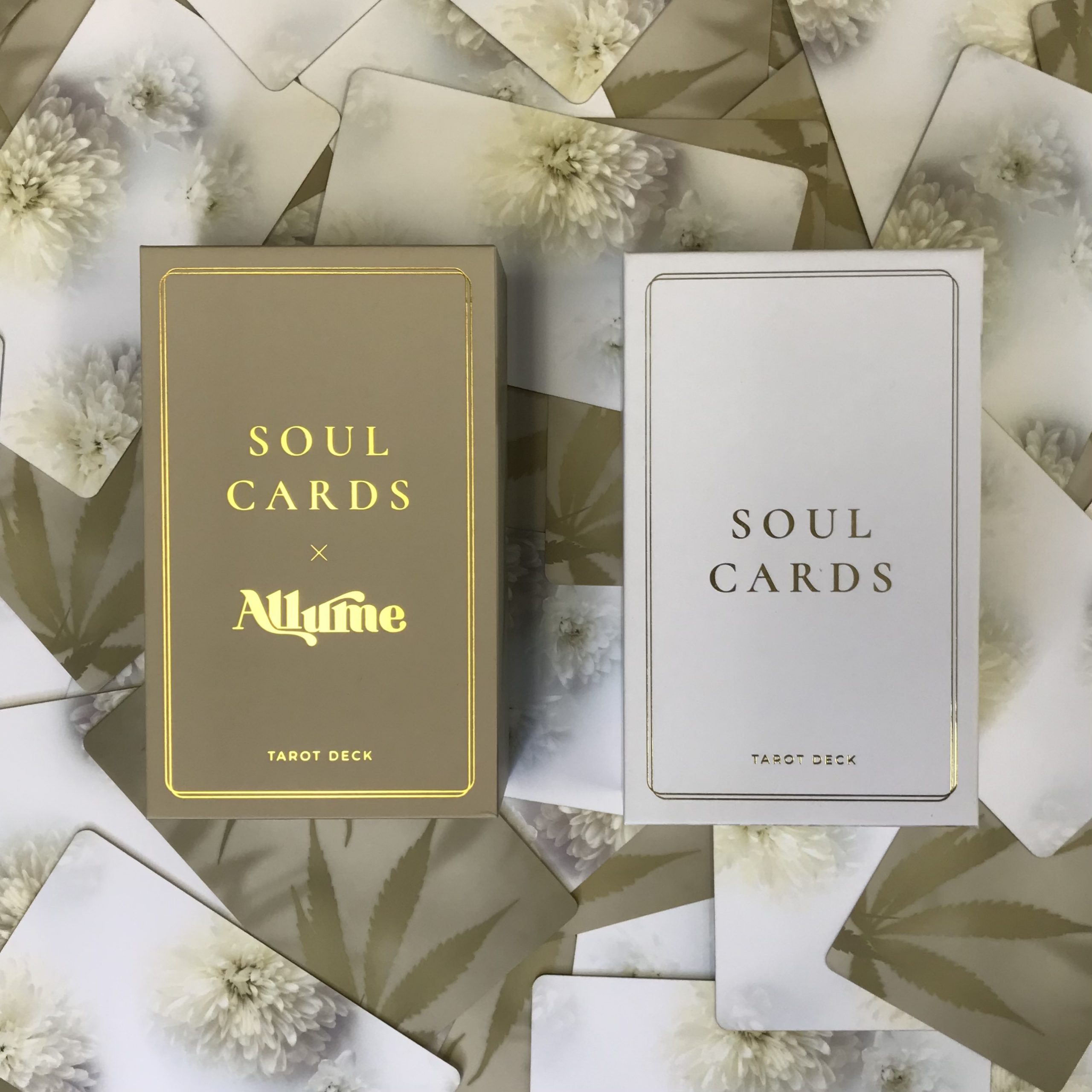 【在庫切れ】ソウルカード〈ホワイトダリア〉（Soul Cards White Dahlia）(2022年4月発売)