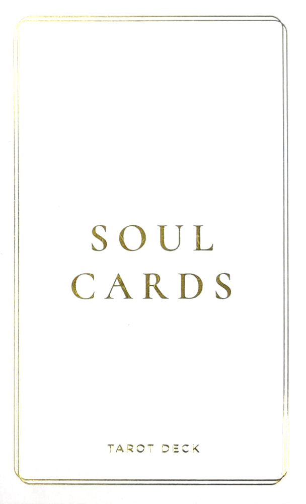 メーカー包装済】 soul 趣味/スポーツ/実用 cards 2 & 1 趣味/スポーツ 