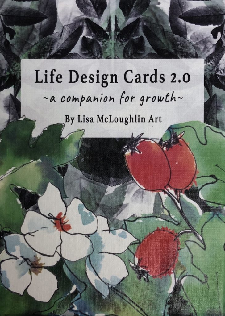 ライフ デザイン カード [ Life Design Cards 2.0 ] 英語版 （中古