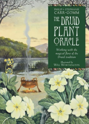 ドルイド プラント オラクル [ The Druid Plant Oracle ] 英語版（中古 