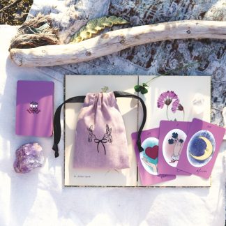 リボンルノルマン＆幸せ結ぶハチドリの巾着セット（2023年5月発売）