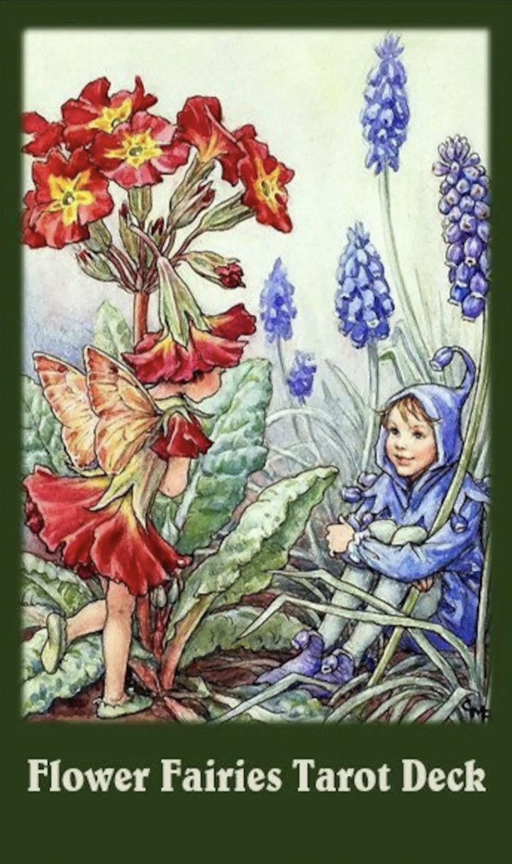 フラワーフェアリータロット [ Flower Fairies Tarot Deck ] 英語版（中古-D品）