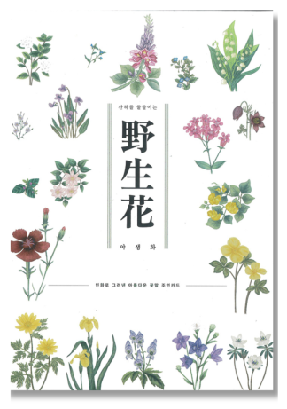 野生花オラクルカード〈新装版〉（2025年5月発売）