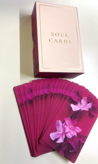 SOUL CARDS TAROT DECK 海外版(中古–可)