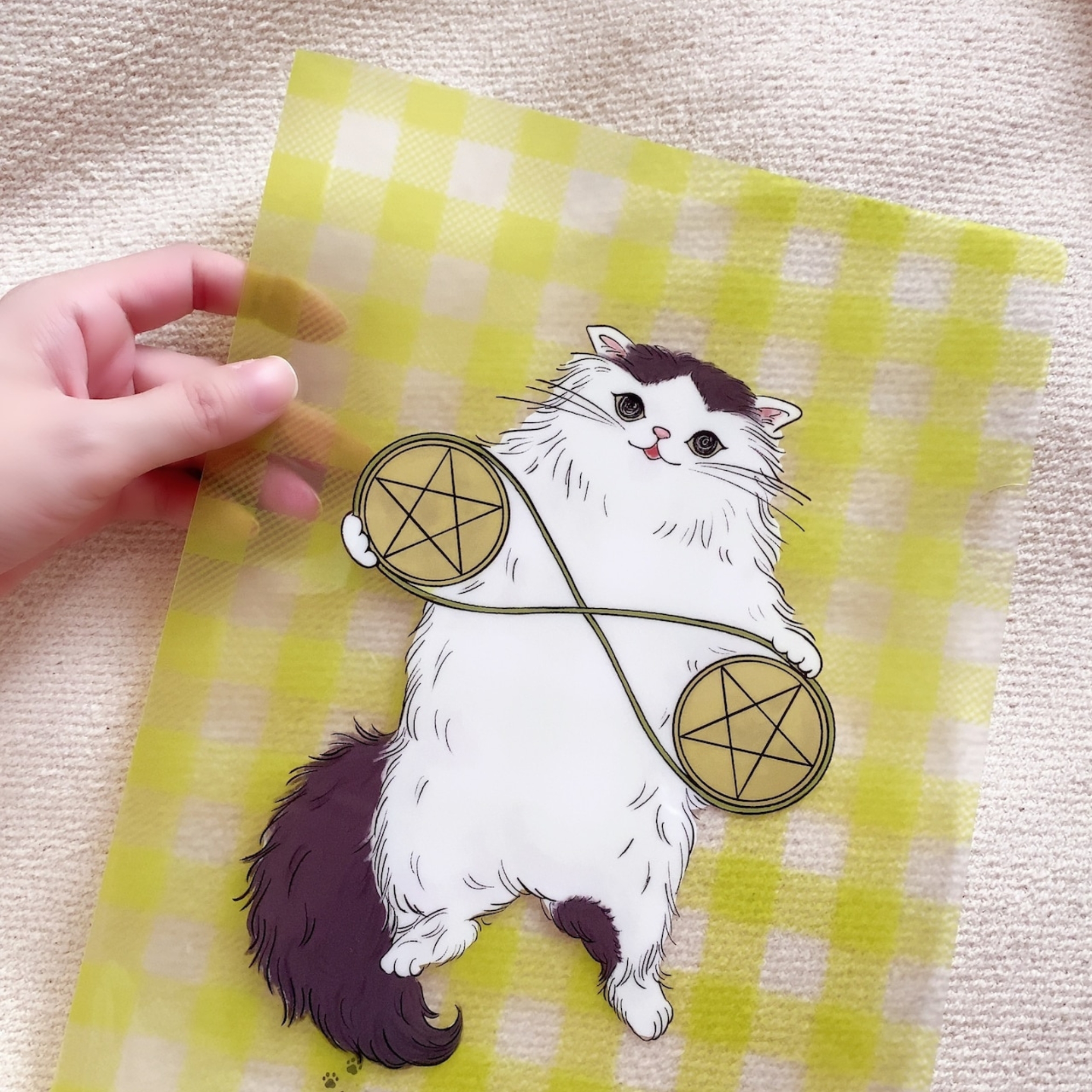【4/2 発売】ペンタクル2な猫のクリアファイル ポストカード付き【予約商品】 - 画像 (3)
