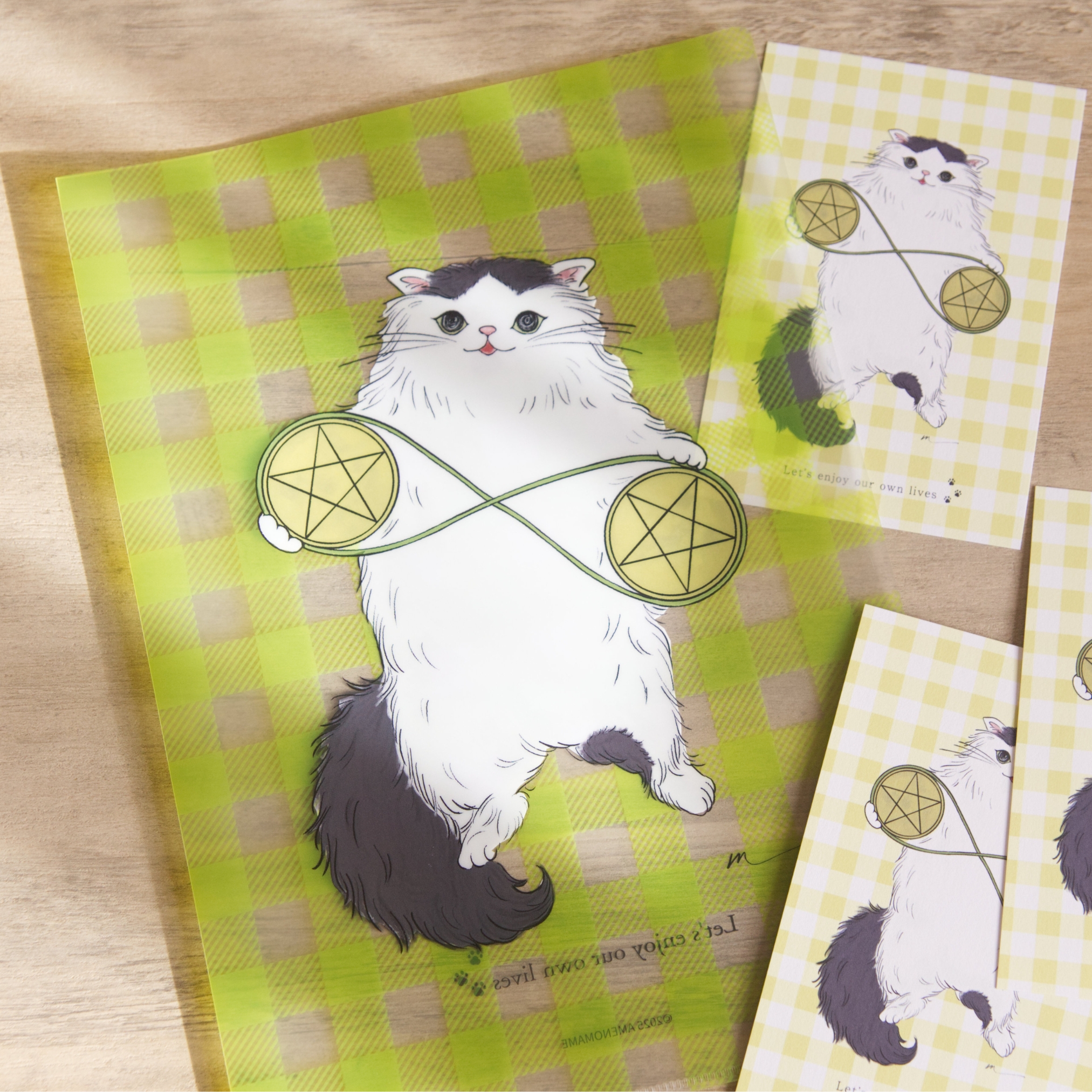 【4/2 発売】ペンタクル2な猫のクリアファイル ポストカード付き【予約商品】 - 画像 (5)