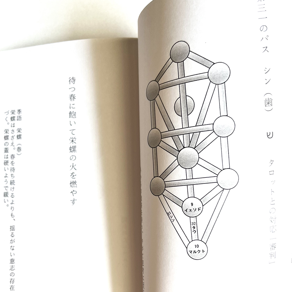 【最新作】『知を愛する人に』(書籍) - 画像 (2)